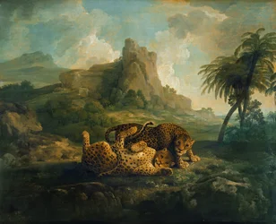 Leikkivät tiikerit, n. 1763-8
